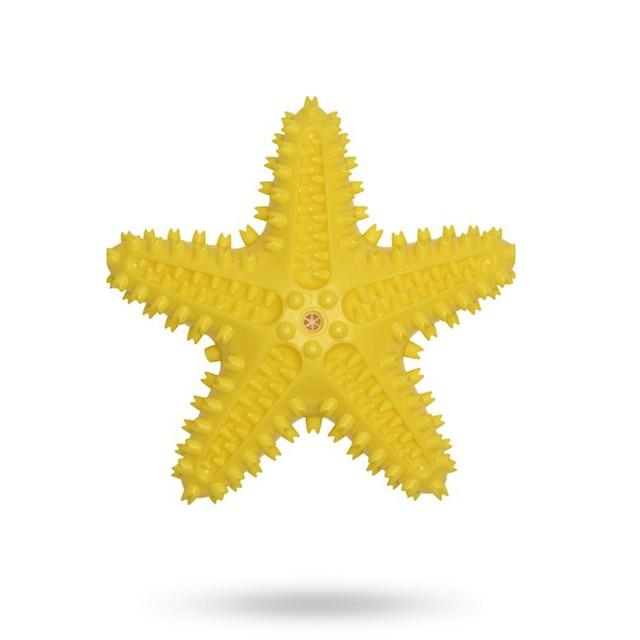 Companion Chewing Toy - Stjerne
