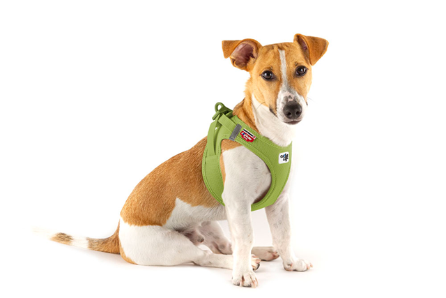 Curli Vest Clasp Air-Mesh Hundesele - Lime