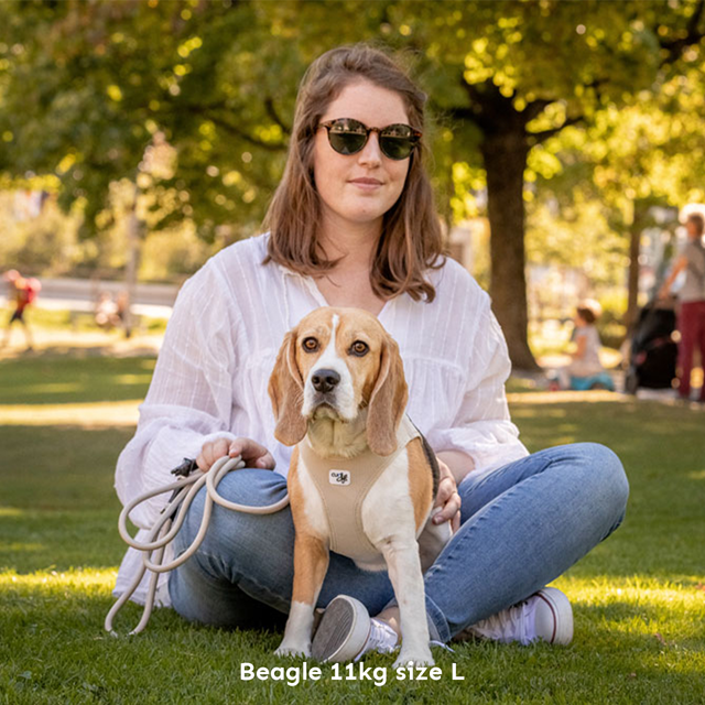 Curli Vest Clasp Air-Mesh Hundesele - Orange Sun