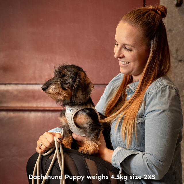 Curli Vest Clasp Air-Mesh Hundesele - RØD