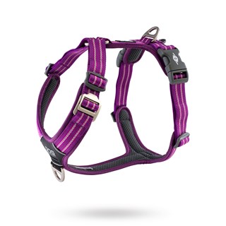 Comfort Walk Air Harness Ny 2020 - Purple Passion