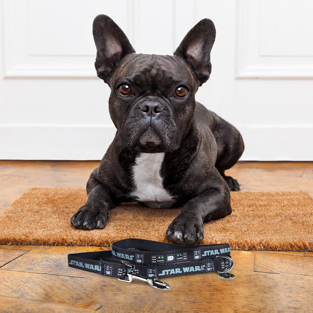 DARTH VADER - Hundekobbel