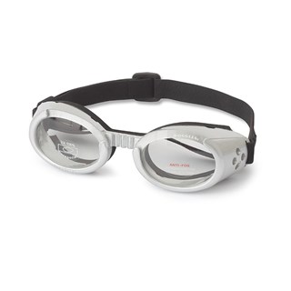 Hundebriller Ils - Silver / Clear Lens