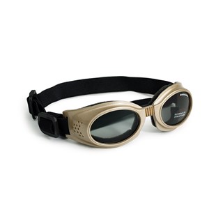 Hundebriller Originalz - Gold / Smoke Lens