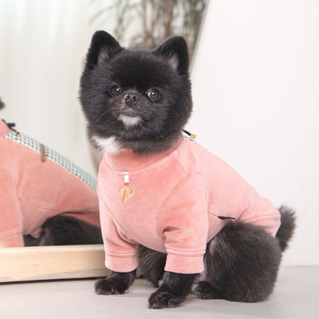 Amari Indian Pink - Hundegenser