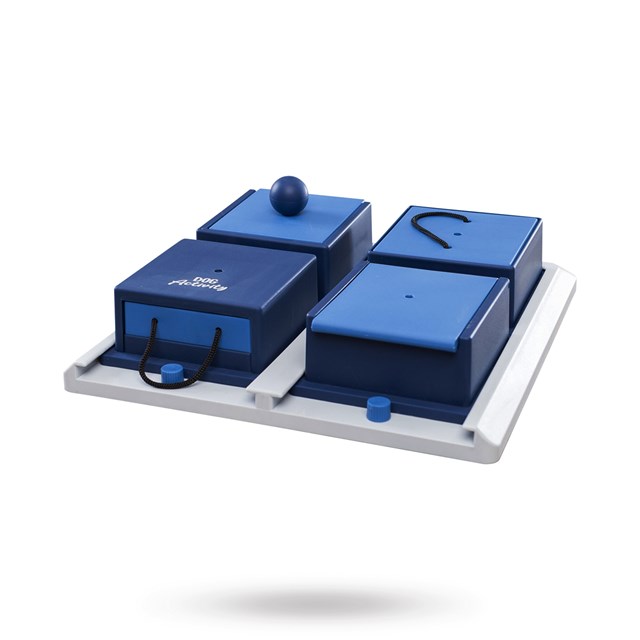 Dog Activity Poker Box 1