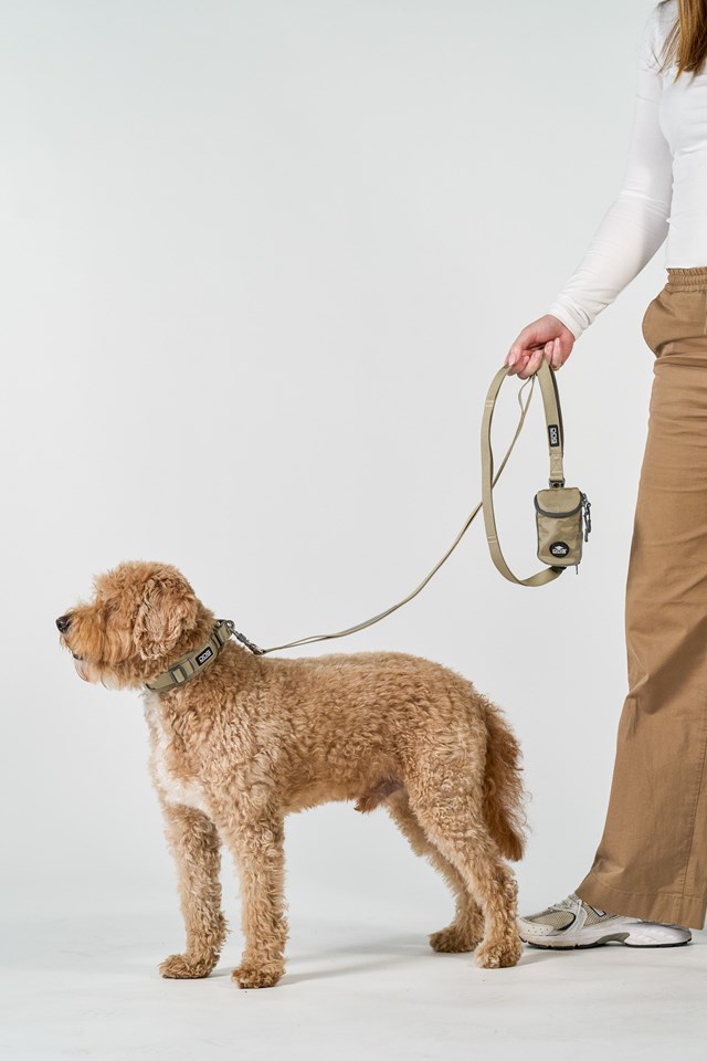 Urban Explorer 3.0 Halsbånd Desert Dune