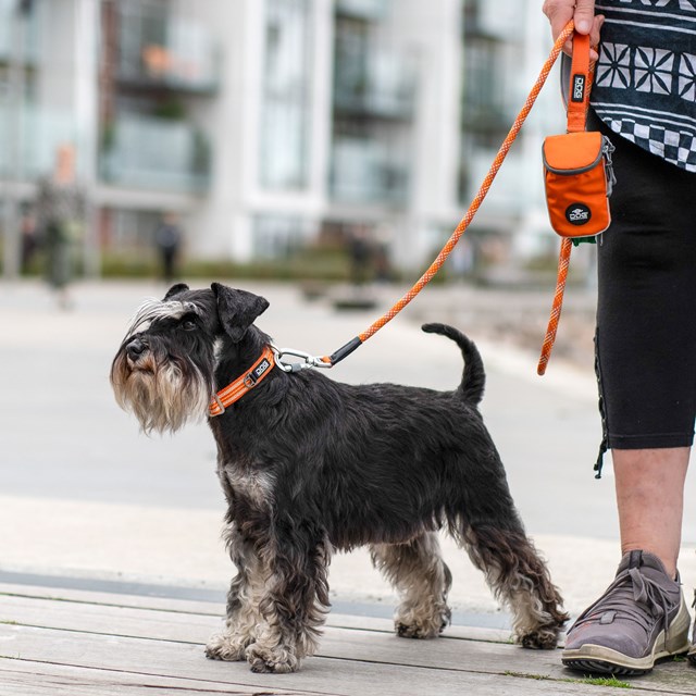 Urban Rope Leash Hundekobbel 3.0 - Orange Sun