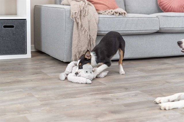 Monkey with squeaker