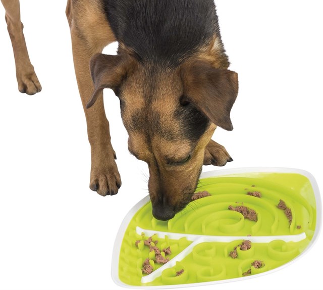 Lick’n'Snack Licking Plate