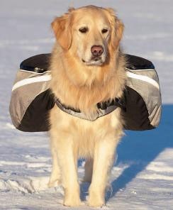 Backpack Extreme - Grå Hundekløv