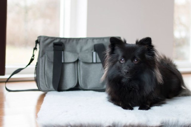 Dogman Bæreveske Ludde opptil 4,5 kg - Grå