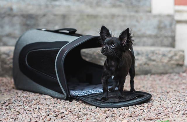 Dogman Bæreveske Snobben opptil 7 kg - Grå