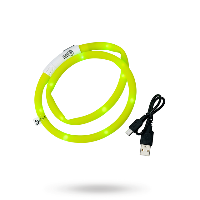 Dogman LED Halsbånd Gull