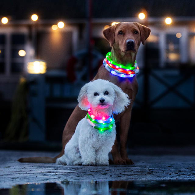 Dogman LED Halsbånd Rosa