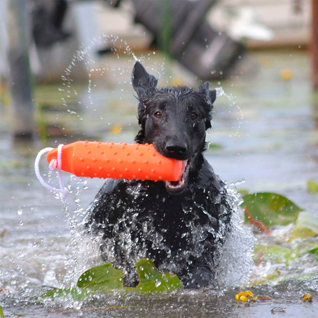 Dogman Dummie Floating Toy