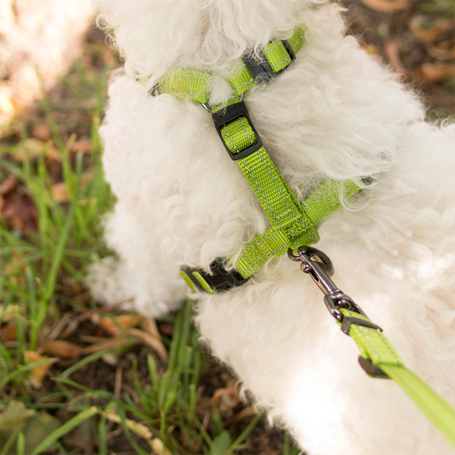 Dogman Hundesele Iris - Rosa