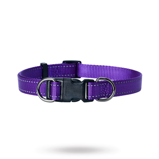 Dogman Nylonhalsband Iris Ställbart - Lilla