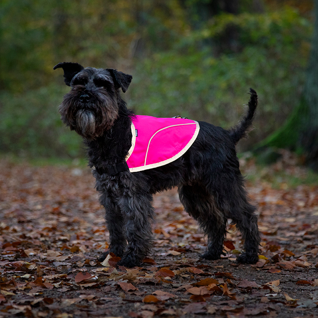 Dogman Rex Reflekterende Hundevest – Gul