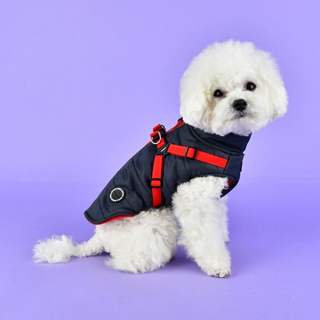 Mountaineer II Grey - Fôret Hundedekken med Integrert Sele