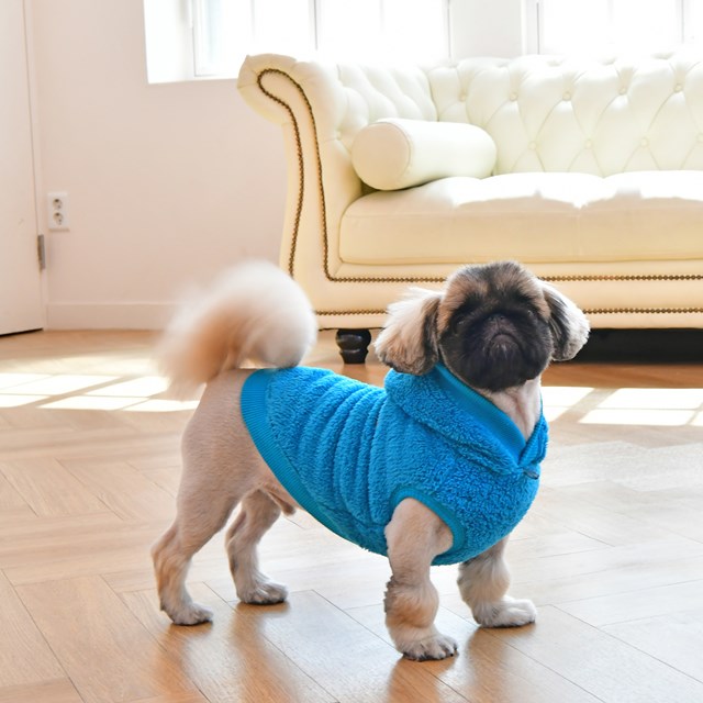 Willa Hundegenser - Aqua