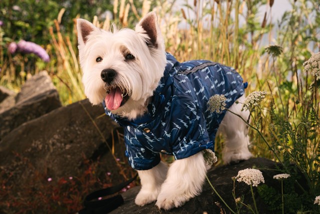 Storm Print Rainstorm - Regndekken