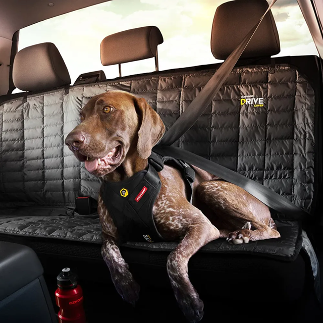 EzyDog Drive Harness – Kollisjonstestet bilsele