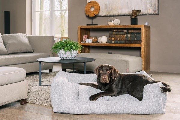 Fantail Snooze Endurance ECO Ortopedisk Hundeseng - Harbor Grey