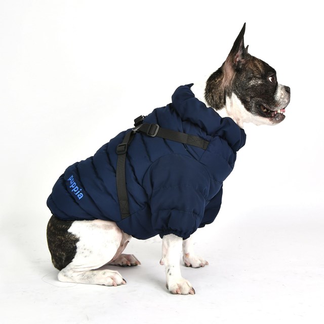Soft Jumper Navy Hundedekken Med Integrert Sele