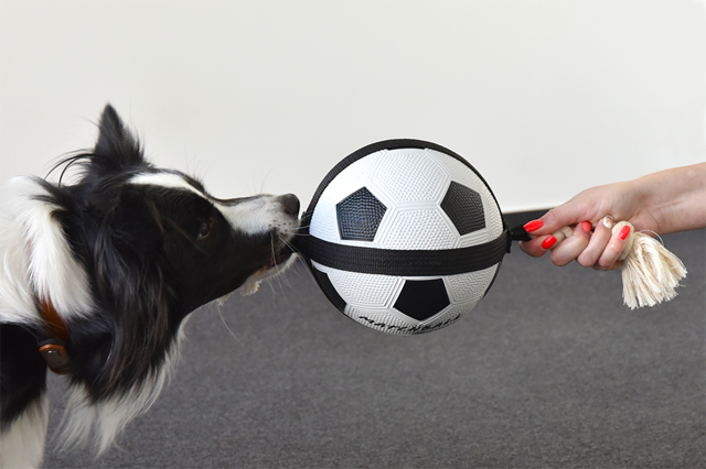 Actionball Fotball med Tau