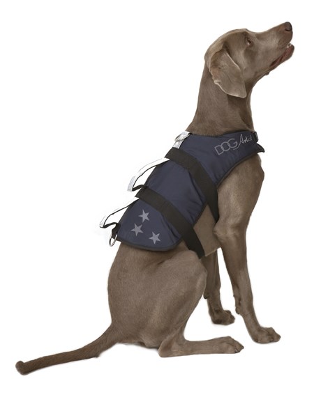 Navy Star - Hundeflytevest