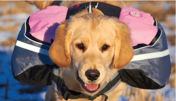 Backpack Extreme - Rosa Hundekløv