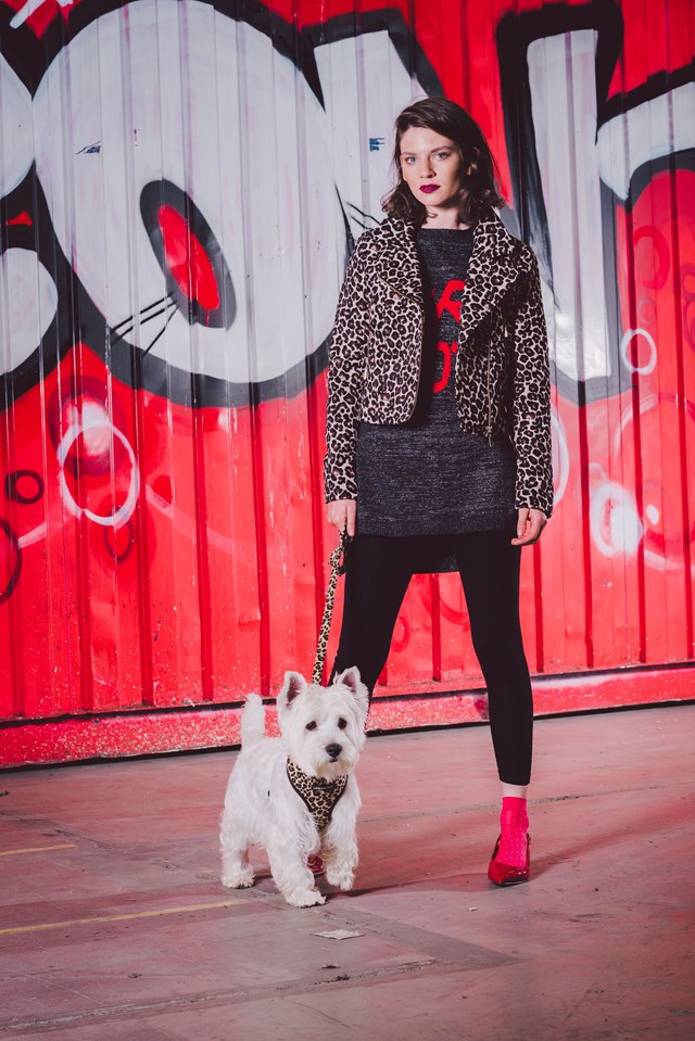 Leopard Hundesele