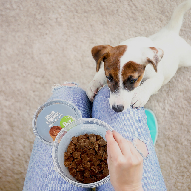 Fourfriends Training Treats Deer 400g