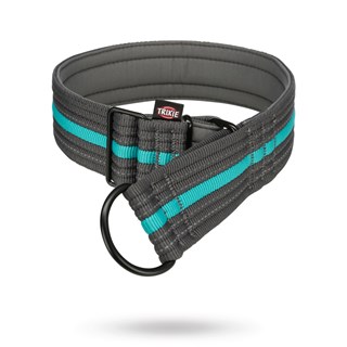 Fusion Dog Collar Graphite /ocean