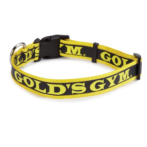 Gold's Gym Dog Halsbånd