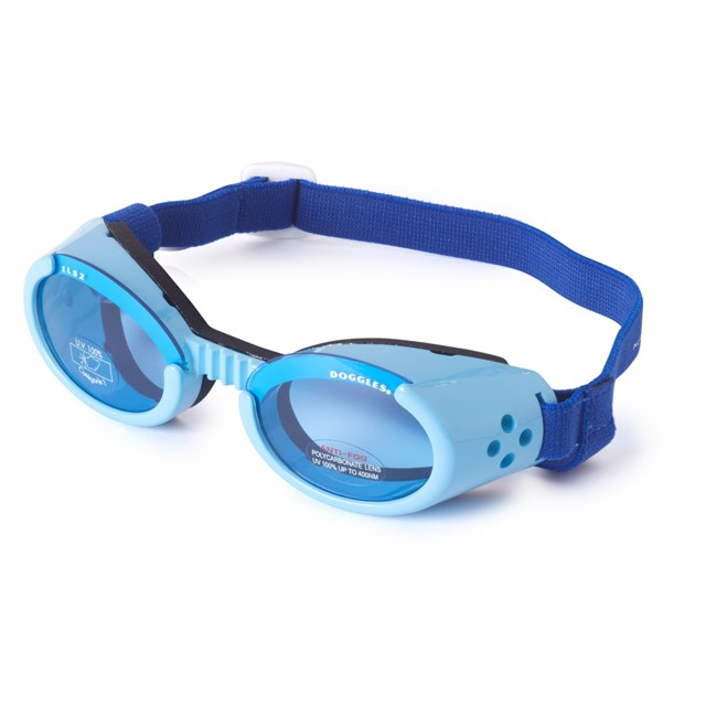 Hundebriller ILS - Shiny Blue / Blue Lens