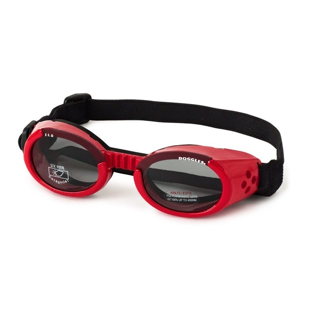 Hundebriller ILS - Shiny Red / Smoke Lens