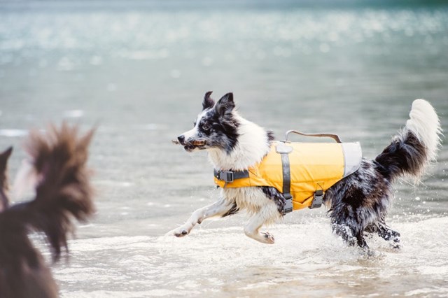 Hurtta Life Savior Hundeflytevest Orange