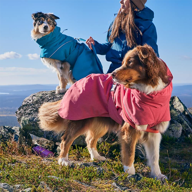 Hurtta Expedition Parka II - Blackberry