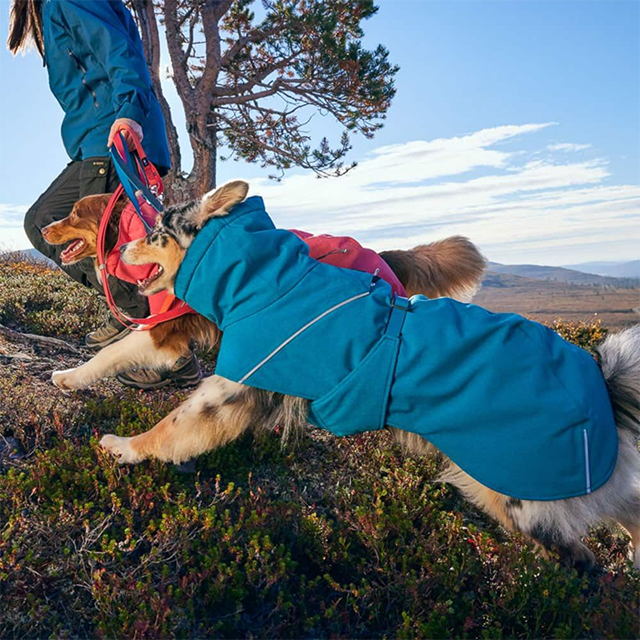 Hurtta Expedition Parka II - Blackberry