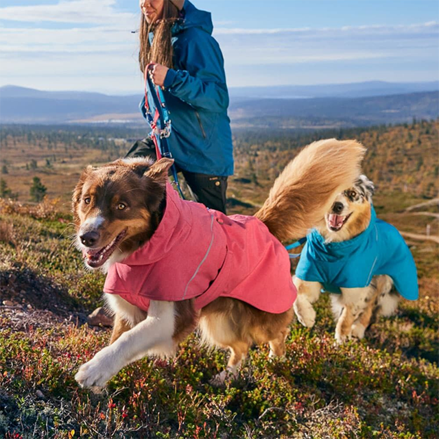 Hurtta Expedition Parka II - Blackberry