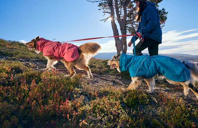 Hurtta Expedition Parka II - Ocean