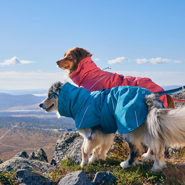 Hurtta Expedition Parka II - Parsley