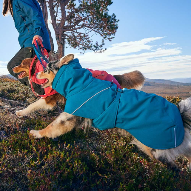 Hurtta Expedition Parka II - Parsley