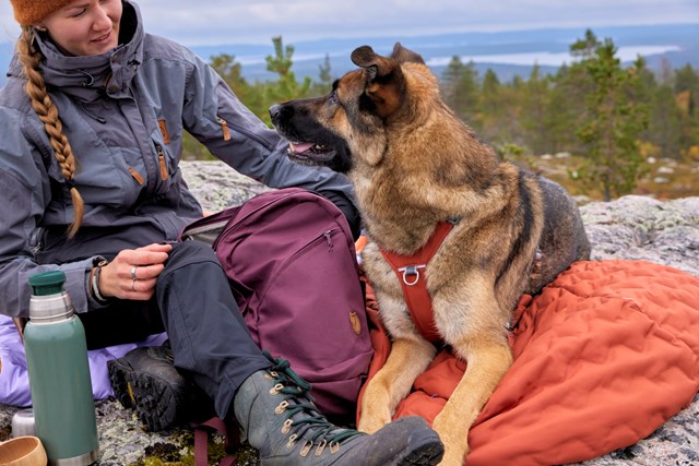 Hurtta Sleepover Sovepose Cinnamon