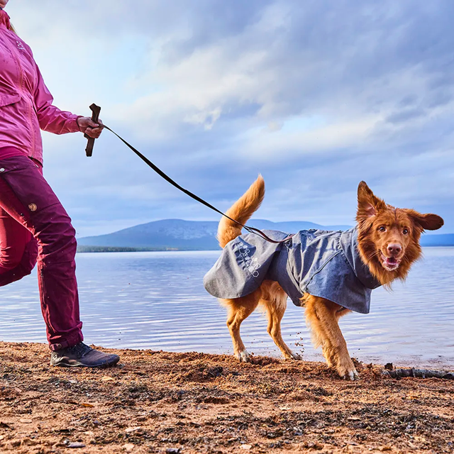 Hurtta Weekend Warrior Kobbel - Blackberry