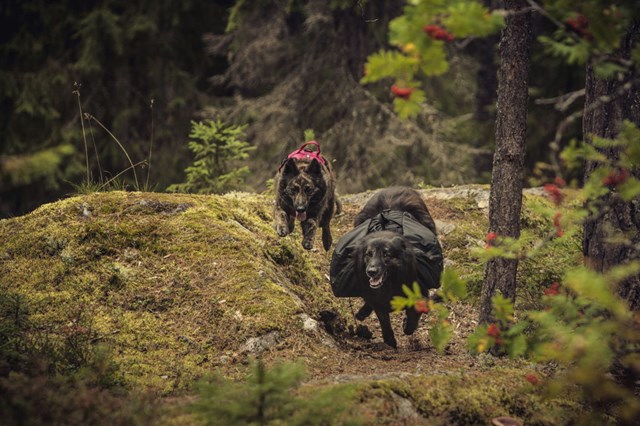 Hurtta Trail Pack Hundekløv