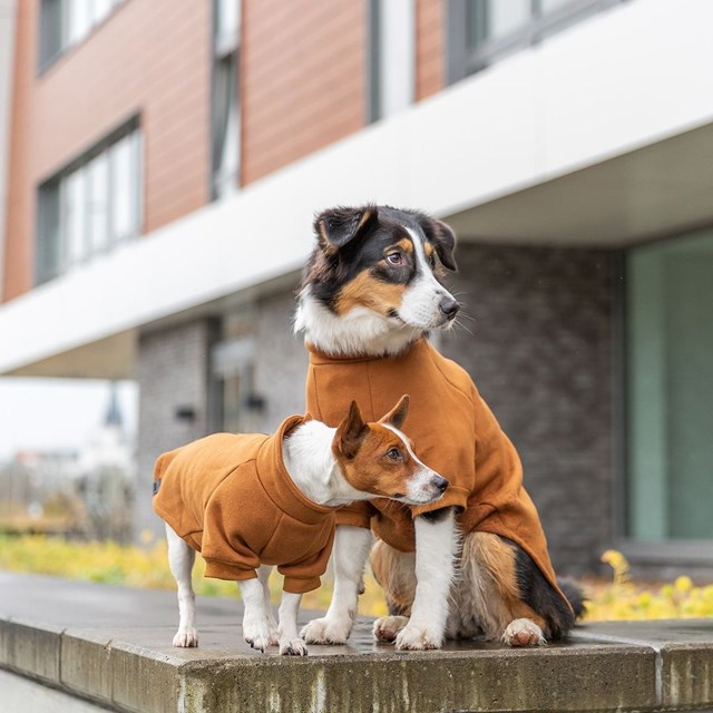 CityStyle Amsterdam Sweatshirt - Rust