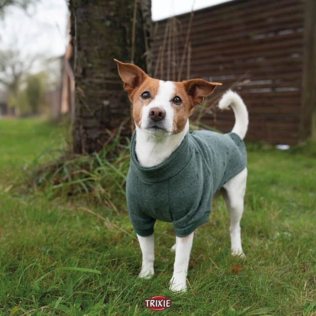 CityStyle Amsterdam Sweatshirt - Green